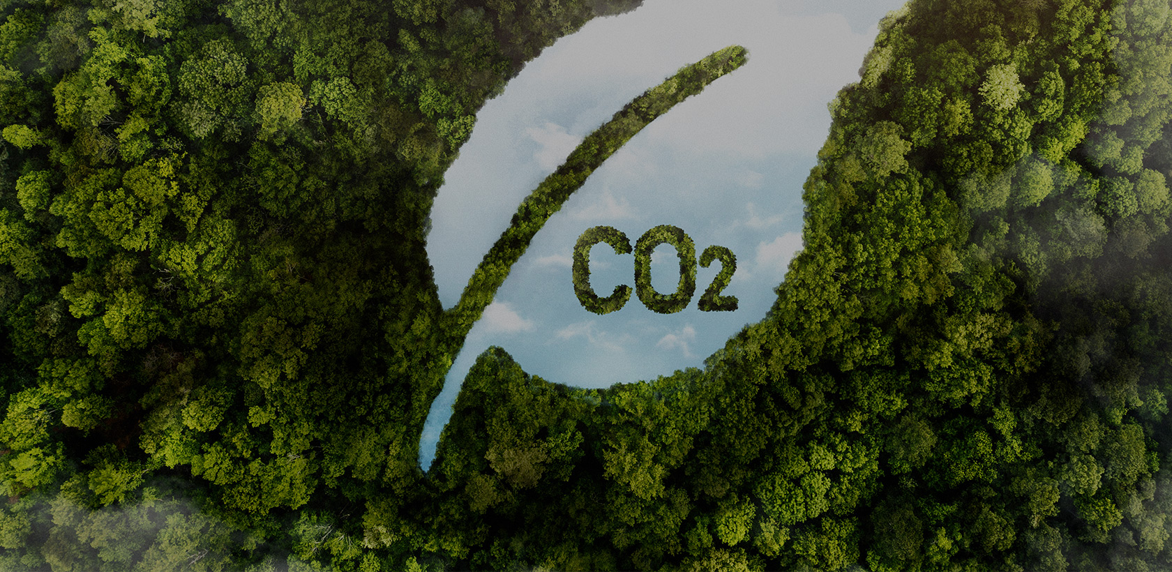 Carbon Neutrality Pathway